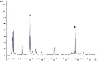 GABA and 5-HT Systems Are Involved in the Anxiolytic Effect of Gan-Mai-Da-Zao Decoction